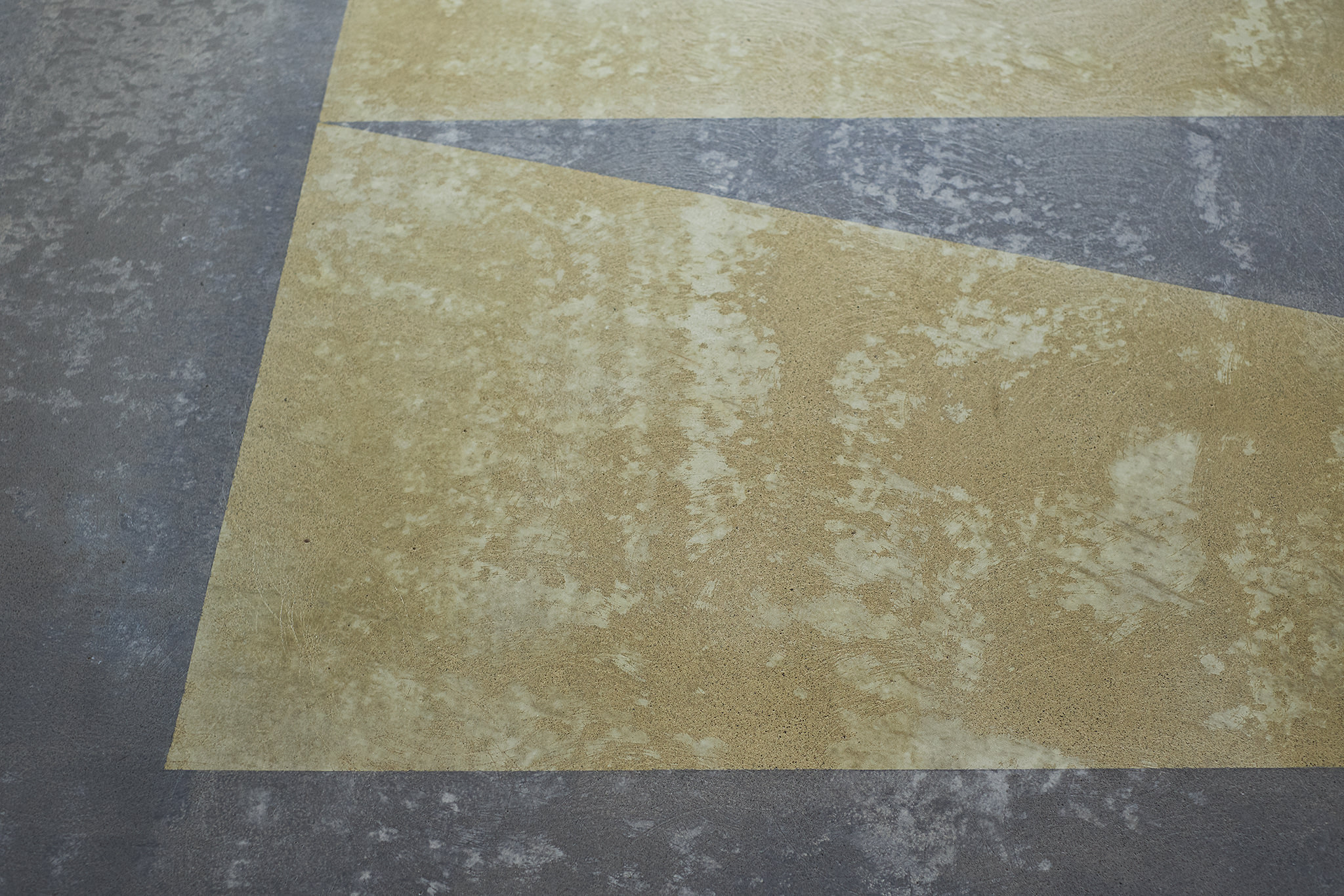 E18689 Fuji 5807 SCREEN